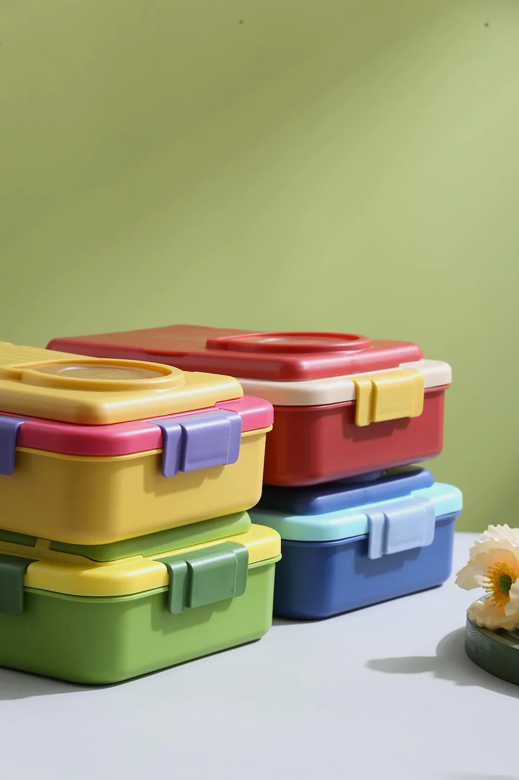 8 Compartments Silly Willy Lunchbox
